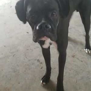 Meet your Posher, Hunter